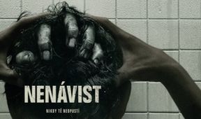 Nenávist