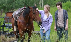 Ranč Heartland IV (5)