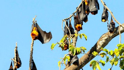 Kamera na cestách: Tanzanie, ze Zanzibaru do Kilwy