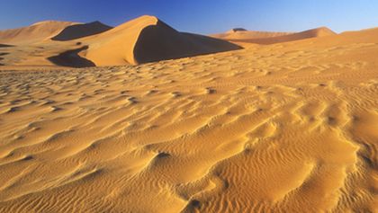 Království divočiny: Poušť Namib