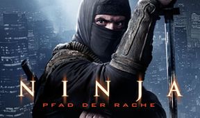 Ninja 2: Pomsta