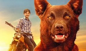 Red Dog 2