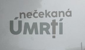 Nečekaná úmrtí - David Carradine