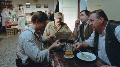 Zdivočelá země (7)