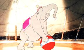 Dumbo