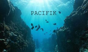 Pacifik (4)