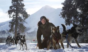Sněžní psi: Aljašská divočina