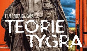 Teorie tygra
