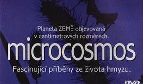 Mikrokosmos