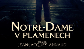 Notre-Dame v plamenech