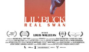 Lil Buck: Opravdová labuť