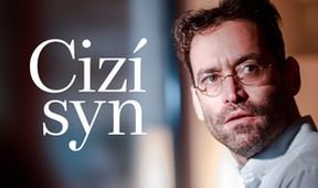 Cizí syn, Velké malé příběhy – Večer krátkých filmů