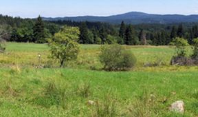 Oblasti ptačí a lidské aneb Natura paradoxa