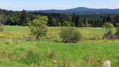 Oblasti ptačí a lidské aneb Natura paradoxa