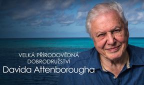 Velká přírodovědná dobrodružství Davida Attenborougha (3/3)