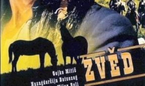 Zvěd