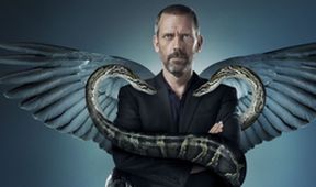 Dr. House VIII (23)
