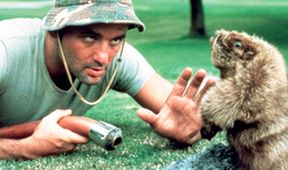 Caddyshack