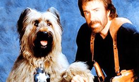 Top Dog