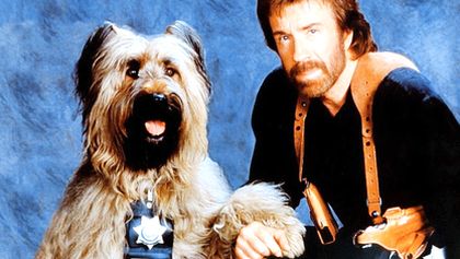 Top Dog
