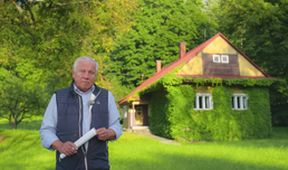 Osudové lásky (12/12)