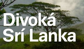 Divoká Srí Lanka (2)