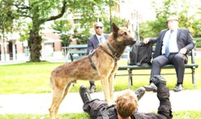 Hrdina Max 2: Chlupatý bodyguard