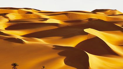 Zázračná planeta: Afrika (5/5)