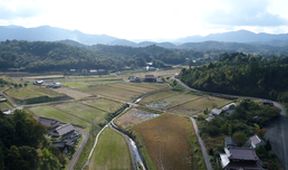 Království divočiny: Velemlok japonský, Japonsko
