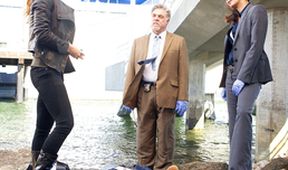 Rizzoli & Isles: Vraždy na pitevně II (9)