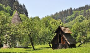 Příběhy zahrad