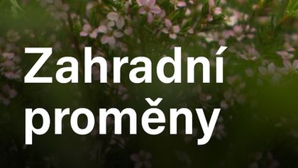 Zahradní proměny (8)
