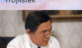 Trojlístek