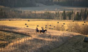Ranč Heartland VII (15)