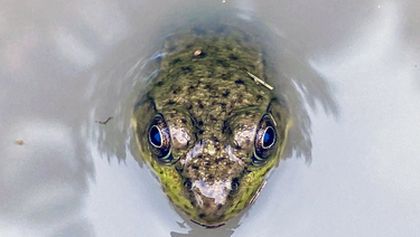 Nezkrocená Velká jezera (2)