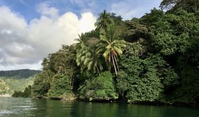 Království divočiny: Kostarika - návrat do panenského lesa (2/2)