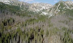 Vysoké Tatry (2/2)