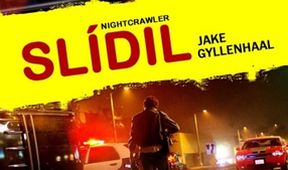 Slídil