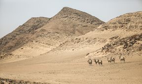 Poslední ráje na Zemi - Namib, Zázračná planeta