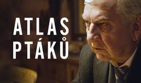 Atlas ptáků