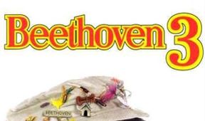 Beethoven 3