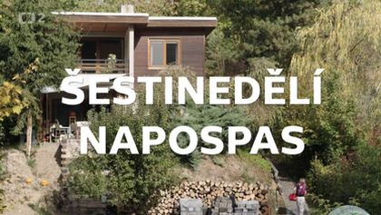 Šestinedělí napospas, Fenomény dneška