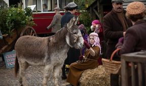 Všechny velké a malé bytosti III (5)
