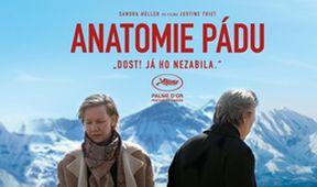 Anatomie pádu