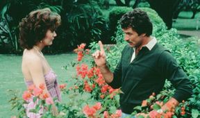 Magnum II (5/21)