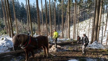 Ľudia na hranici