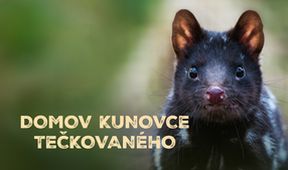 Domov kunovce tečkovaného