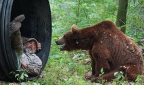 Projekt Grizzly (6)