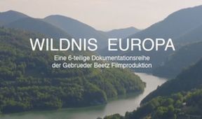 Evropská divočina II (2)