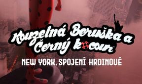 Kouzelná Beruška a Černý Kocour: New York, Spojení Hrdinové